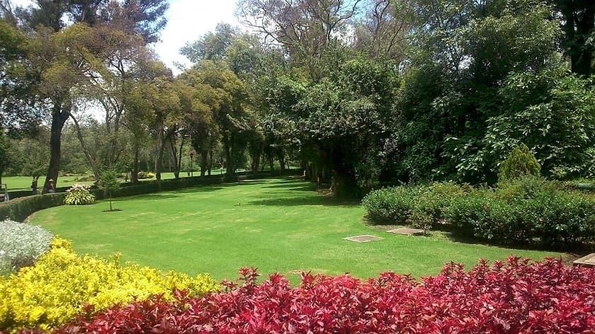 Planes y actividades románticas para disfrutar en pareja en la Ciudad de México